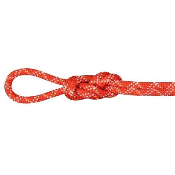 Mammut 9.5 Gym Classic Rope 3