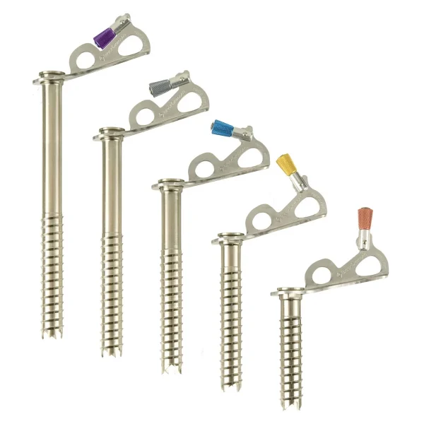 Black Diamond Express Ice Screws 1