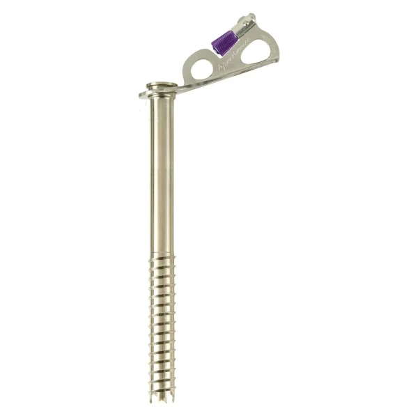 Black Diamond Express Ice Screws 7