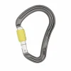 DMM Big Boa Screwgate 30 KN 8
