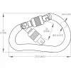 DMM 12mm Boa Steel Screwgate 5