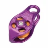 DMM Pinto Rig 14