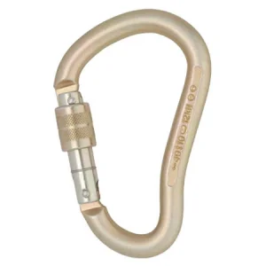 DMM 12mm Boa Steel Screwgate 6